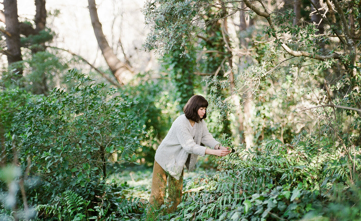 Waycott Flora Waycott